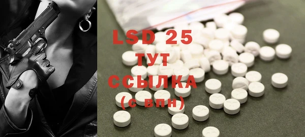 стаф Касимов