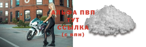 стаф Касимов
