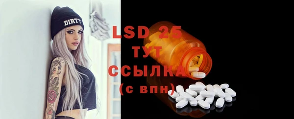стаф Касимов
