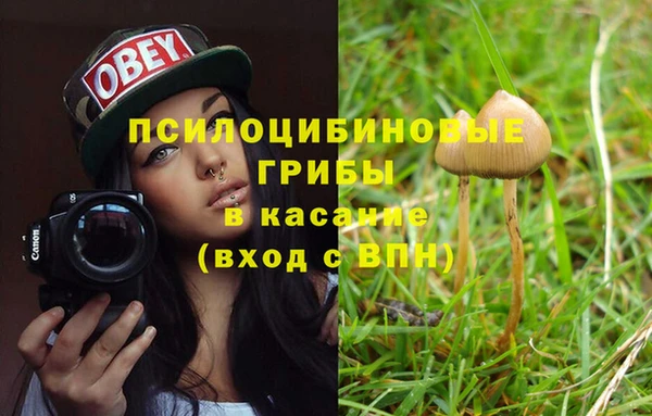 соль ск Карталы