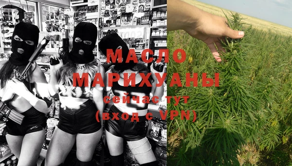 стаф Касимов