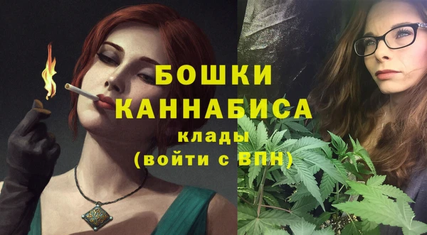 ALPHA-PVP Инсар