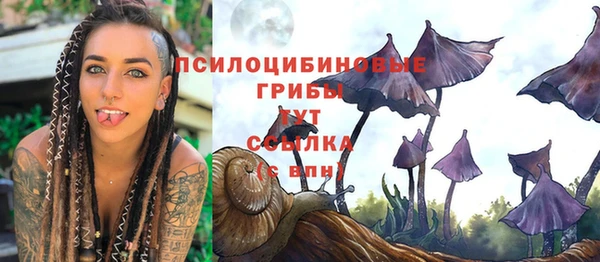 соль ск Карталы