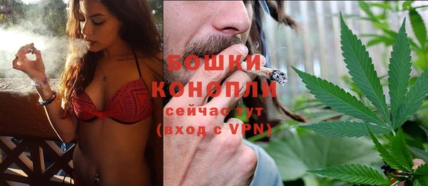 стаф Касимов