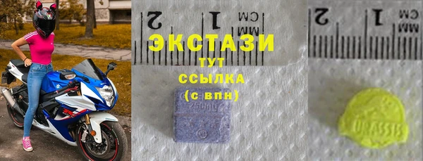 стаф Касимов