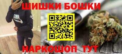 гашик Котовск