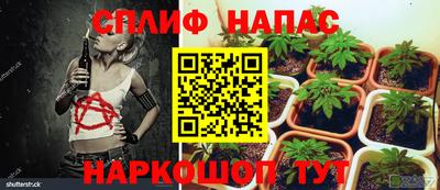 наркотики Сланцы