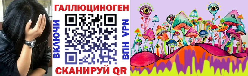 Псилоцибиновые грибы ЛСД  OMG   сайты даркнета клад  Геленджик 