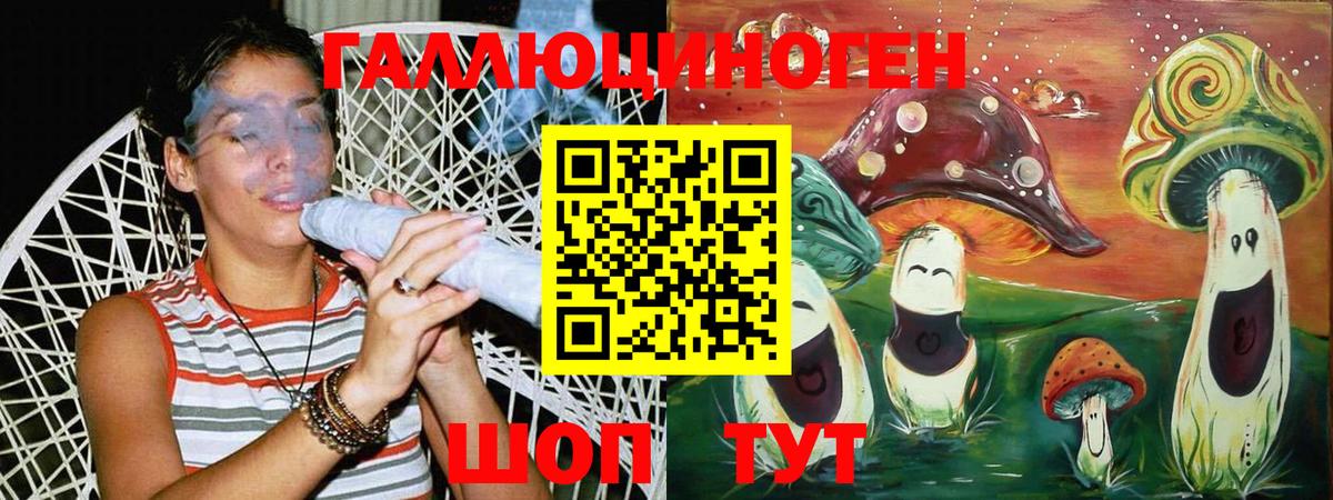 дарнет шоп  Вход с VPN  Геленджик  Галлюциногенные грибы Cubensis 