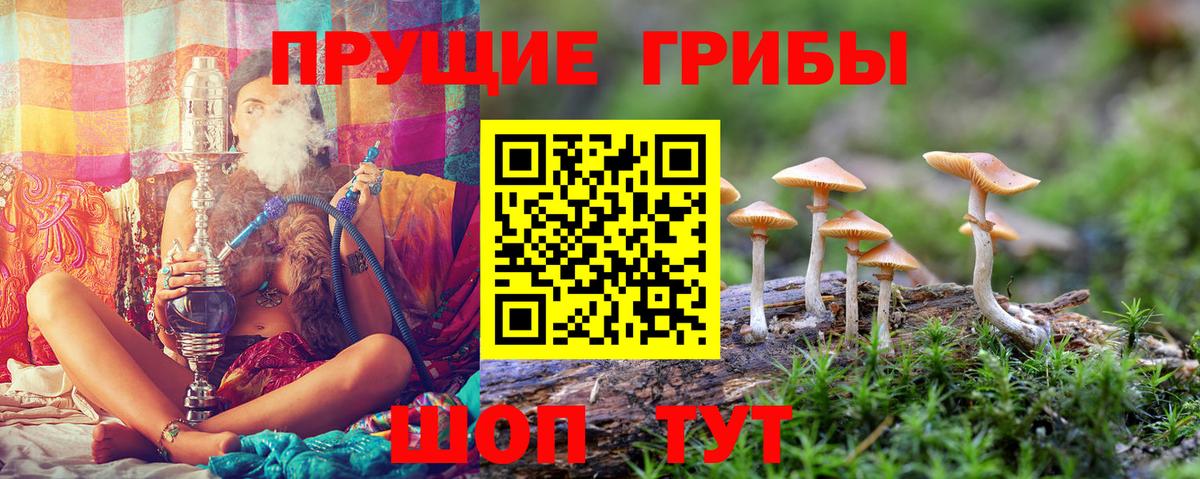 Псилоцибиновые грибы ЛСД Геленджик